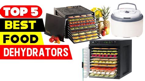 5 Best Food Dehydrator Reviews (2022) .